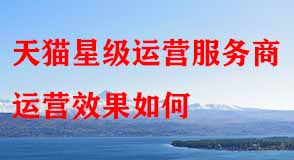 天貓星級運營服務(wù)商