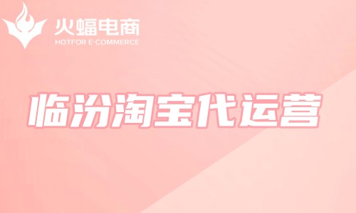 臨汾淘寶代運(yùn)營(yíng)